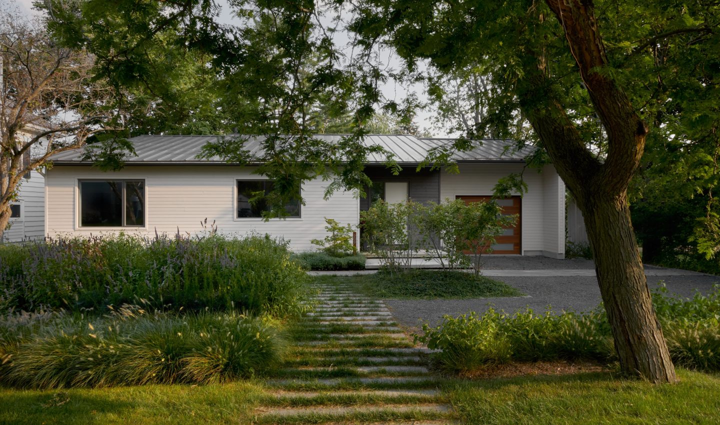 Modern Roots